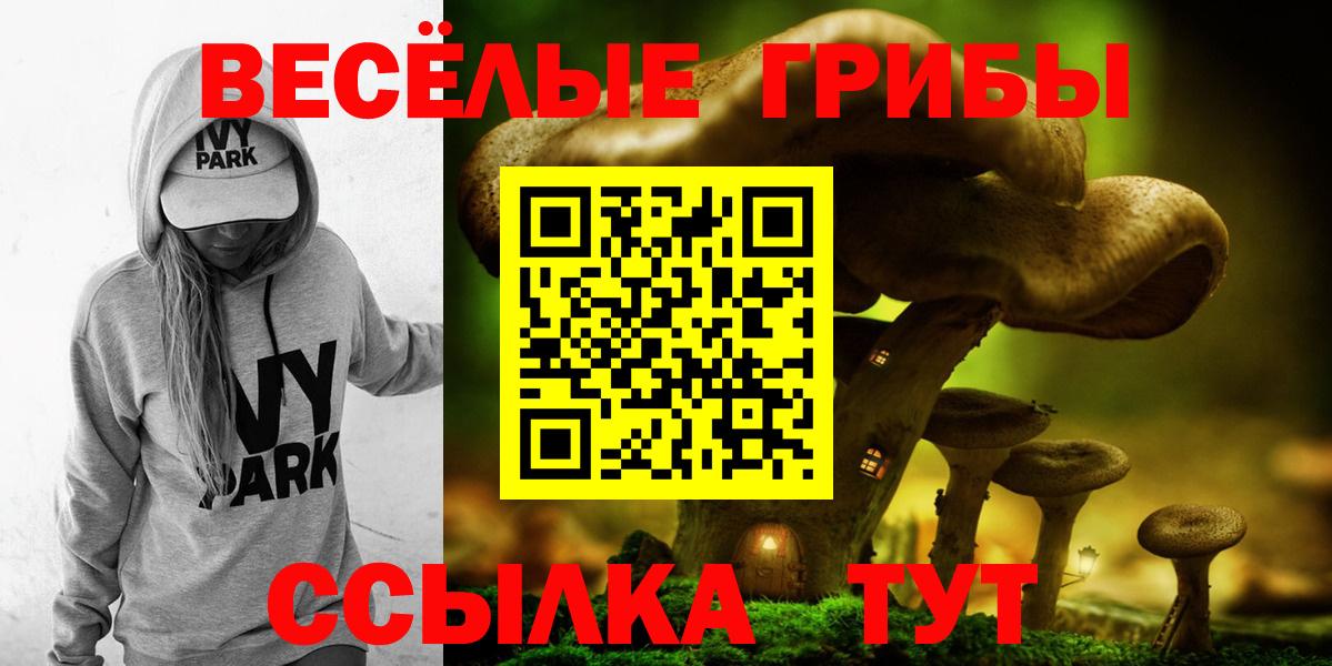 Галлюциногенные грибы Cubensis Знаменск